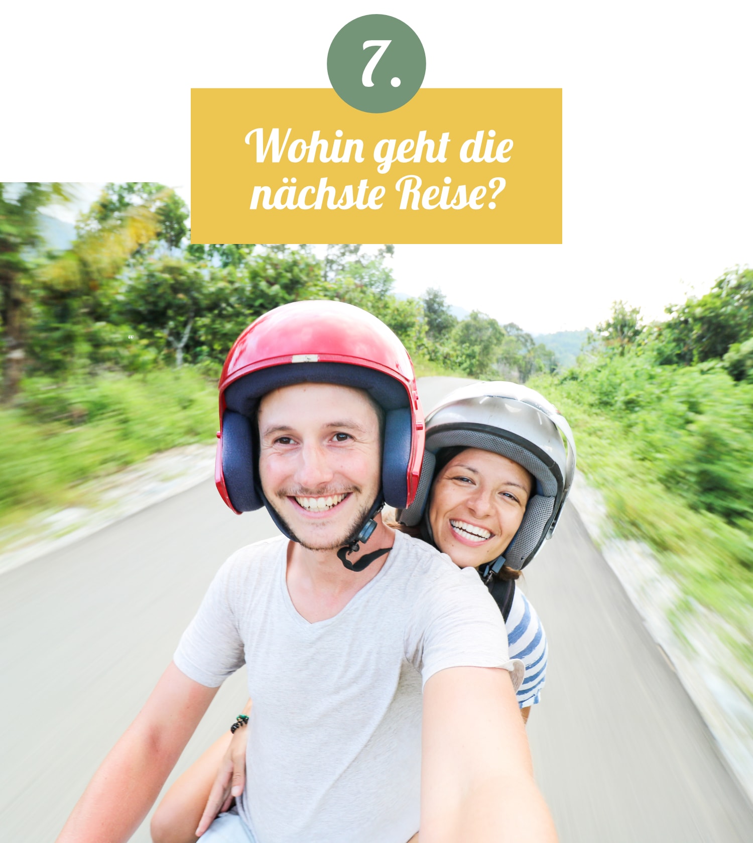 Wohin geht die nächste Reise?
