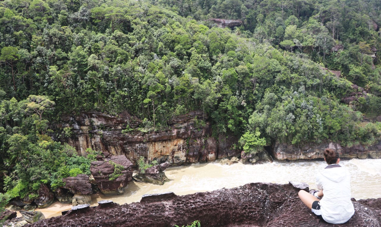 Bako Nationalpark: Klippen