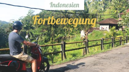 Fortbewegung in Indonesien
