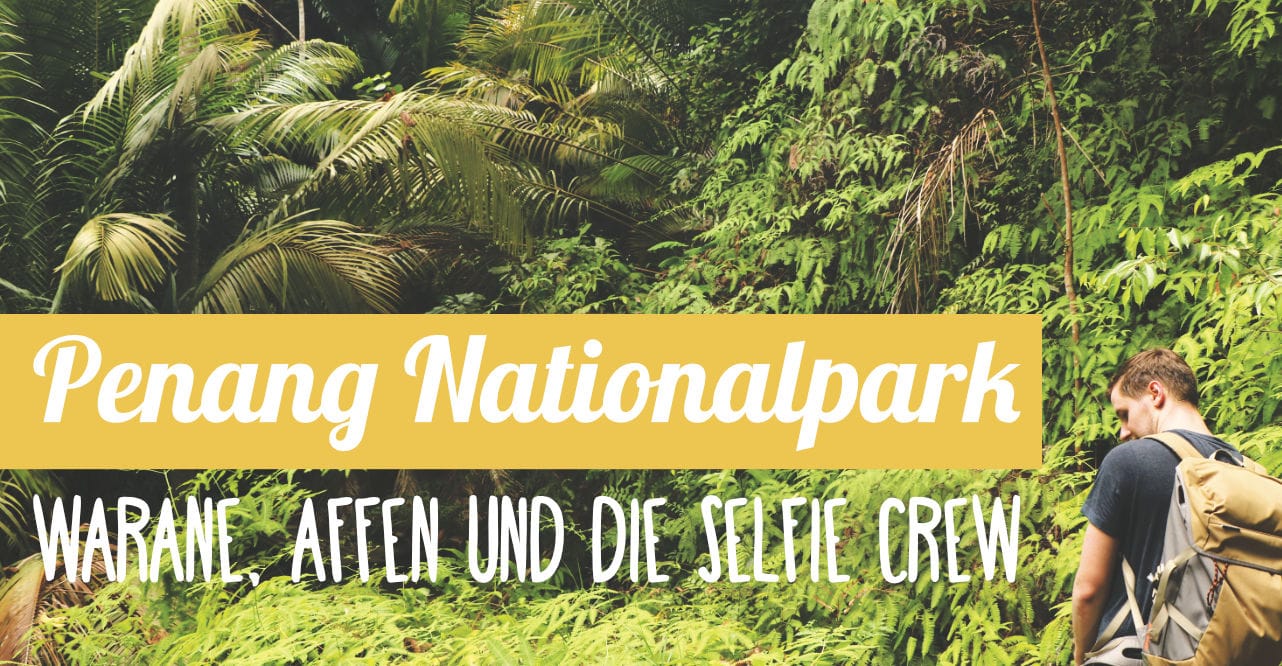 Reiseberict: Nationalpark auf Penang in Malaysia Reiseberict: Nationalpark auf Penang in Malaysia