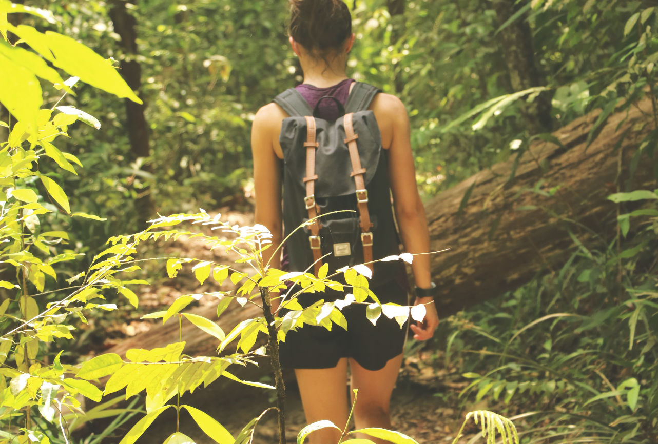 Trekking durch den Penang Nationalpark Trekking durch den Penang Nationalpark