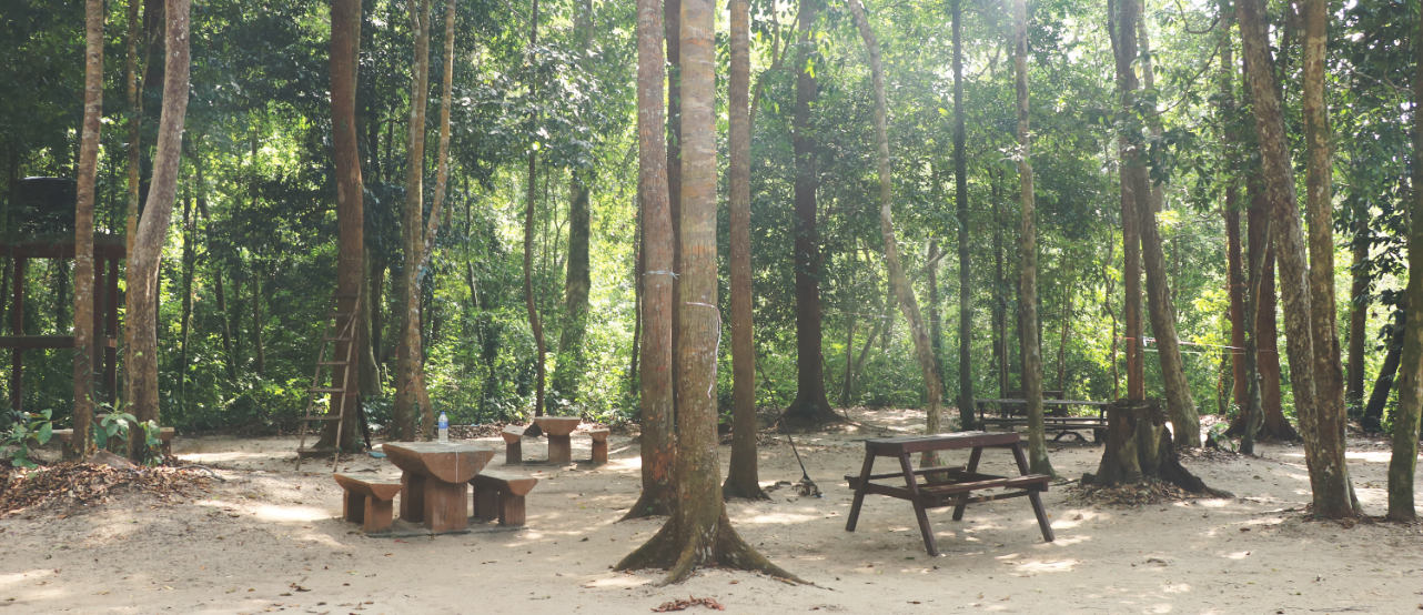 Penang Nationalpark - Campsite Penang Nationalpark - Campsite