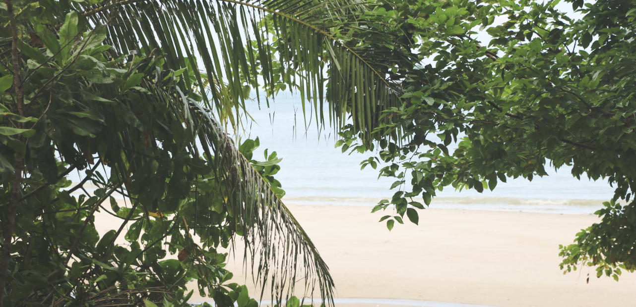 Penang Nationalpark - Turtle Beach Penang Nationalpark - Turtle Beach