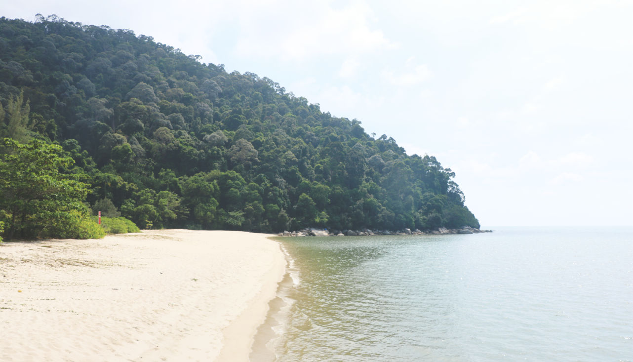 Reisebericht: Penang Nationalpark - Turtle Beach Reisebericht: Penang Nationalpark - Turtle Beach