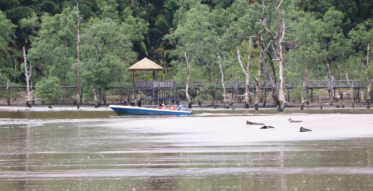 Bako Nationalpark Anleger