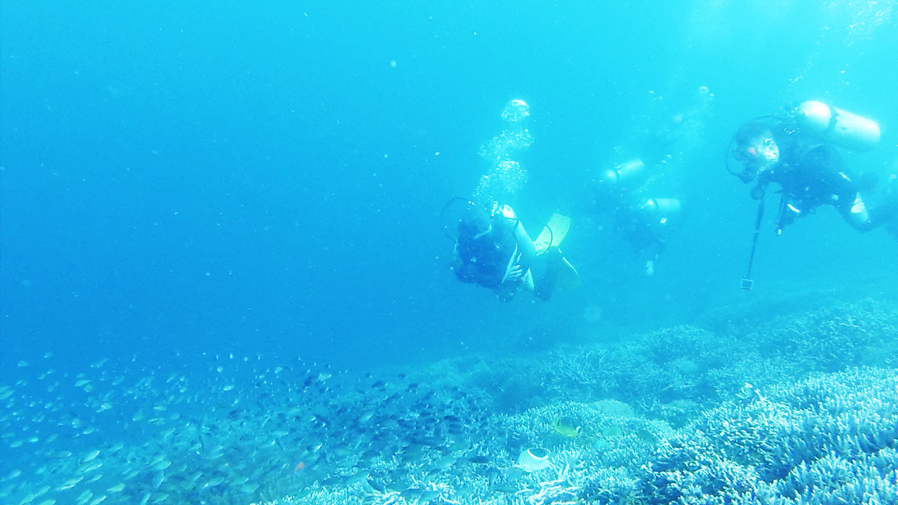 Tauchen: Reisebericht aus Komodo