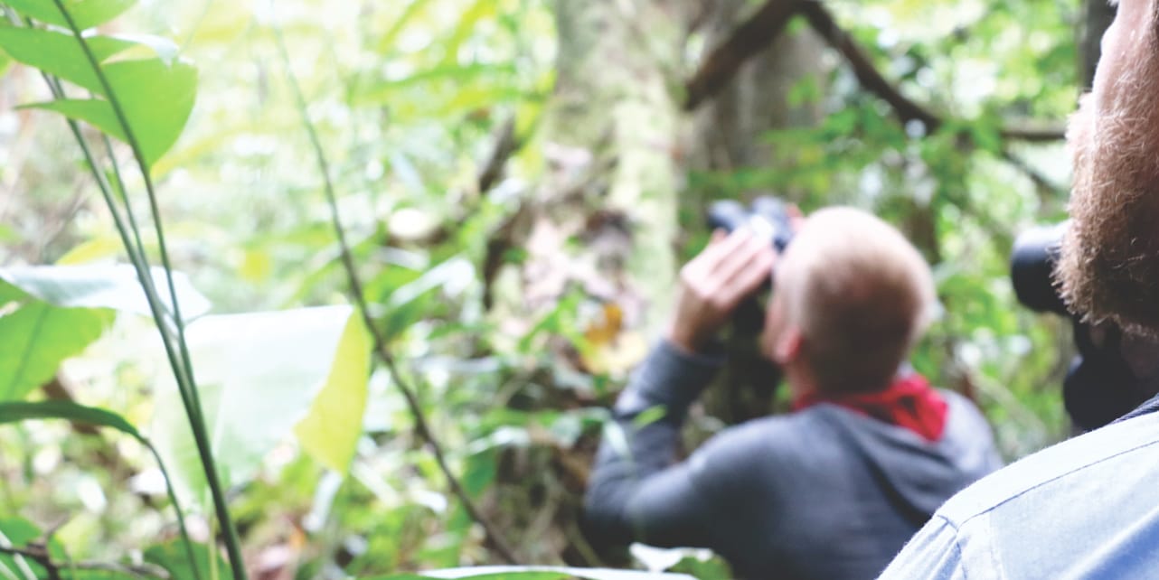 Tierbeobachtung im Amazonas Dschungel