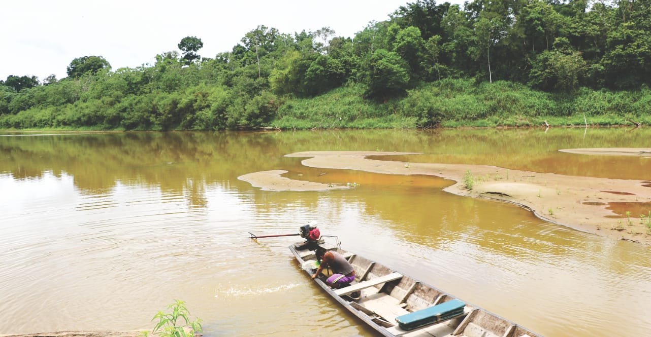 Reisebericht Amazonas im Tapiche Reserve: Peki Peki