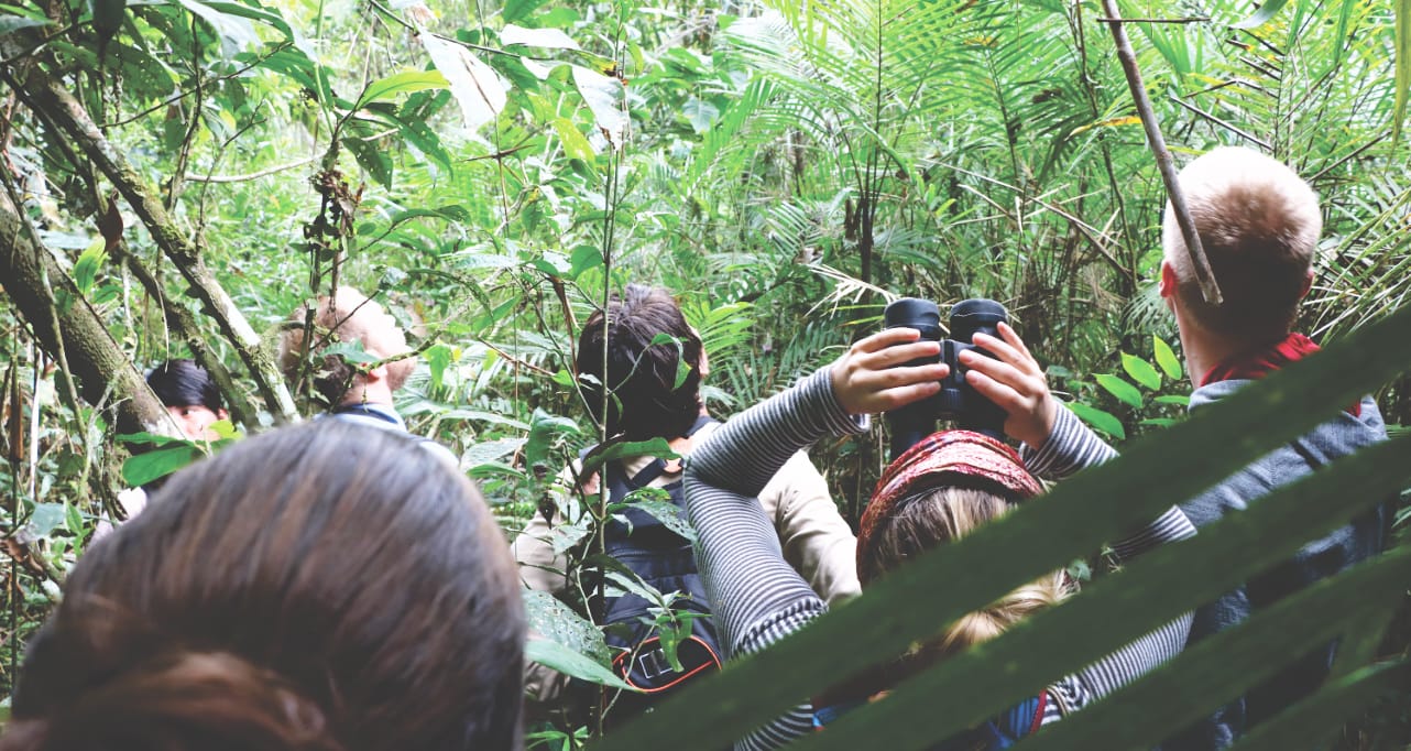 Nachhaltige Amazonas Tour in Peru