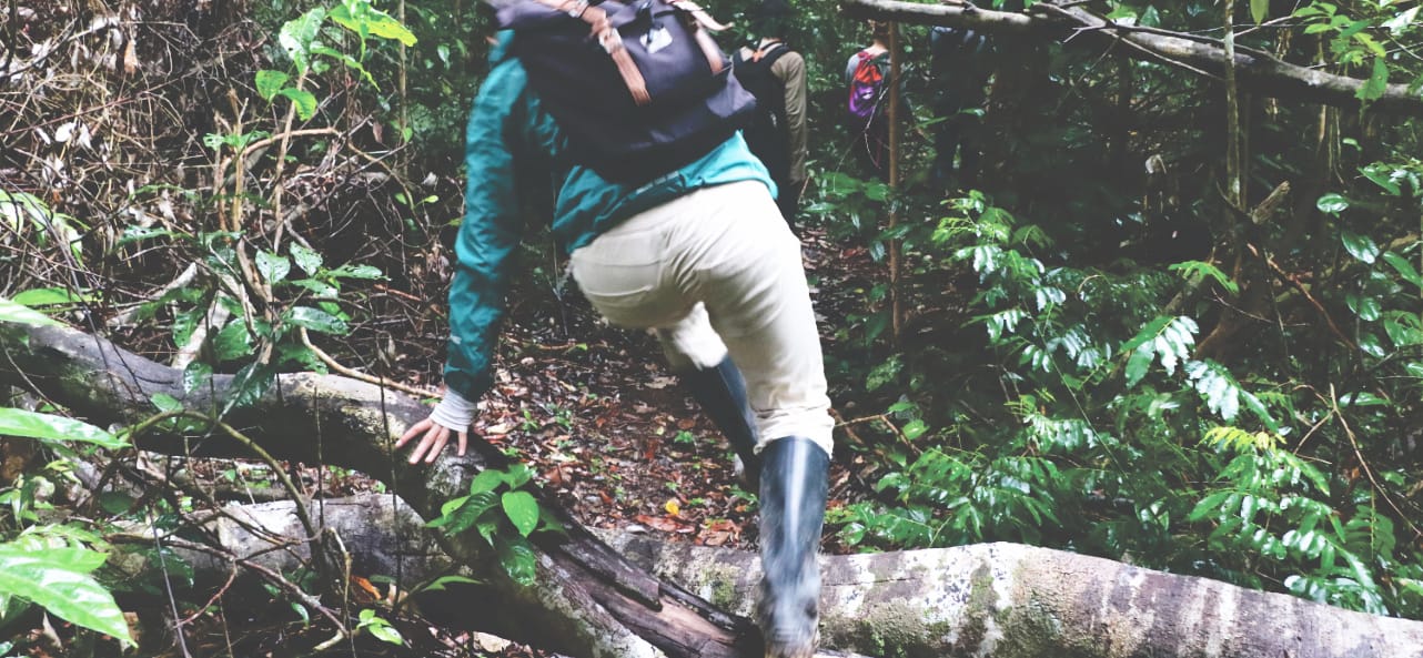 Tour in Peru: Trekking im Amazonas Regenwald