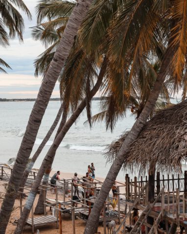 Arugam Bay - Sehenswürdigkeiten & Highlights - Vibe