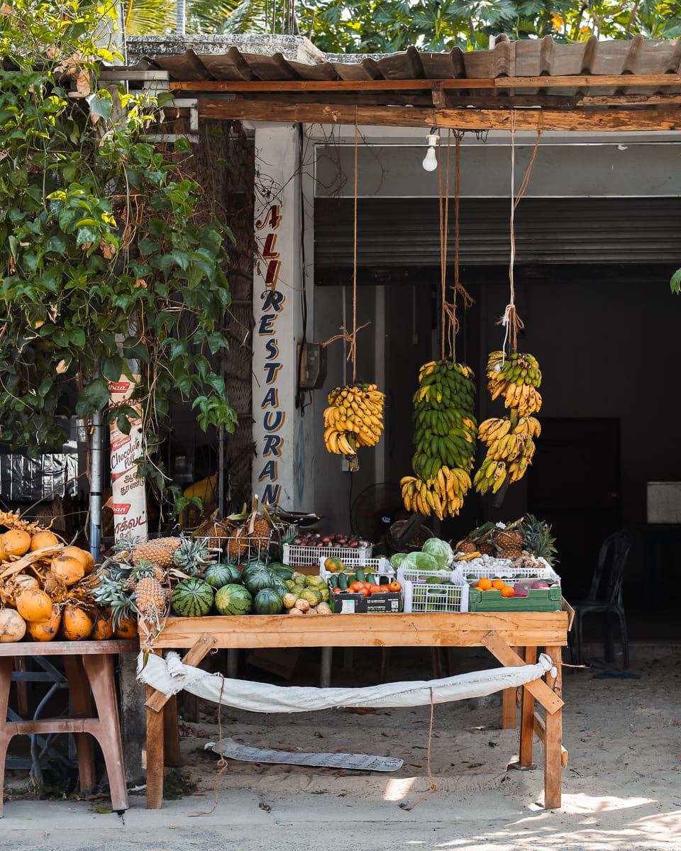 Arugam Bay - Sehenswürdigkeiten & Highlights - Vibe Arugam Bay - Sehenswürdigkeiten & Highlights - Vibe