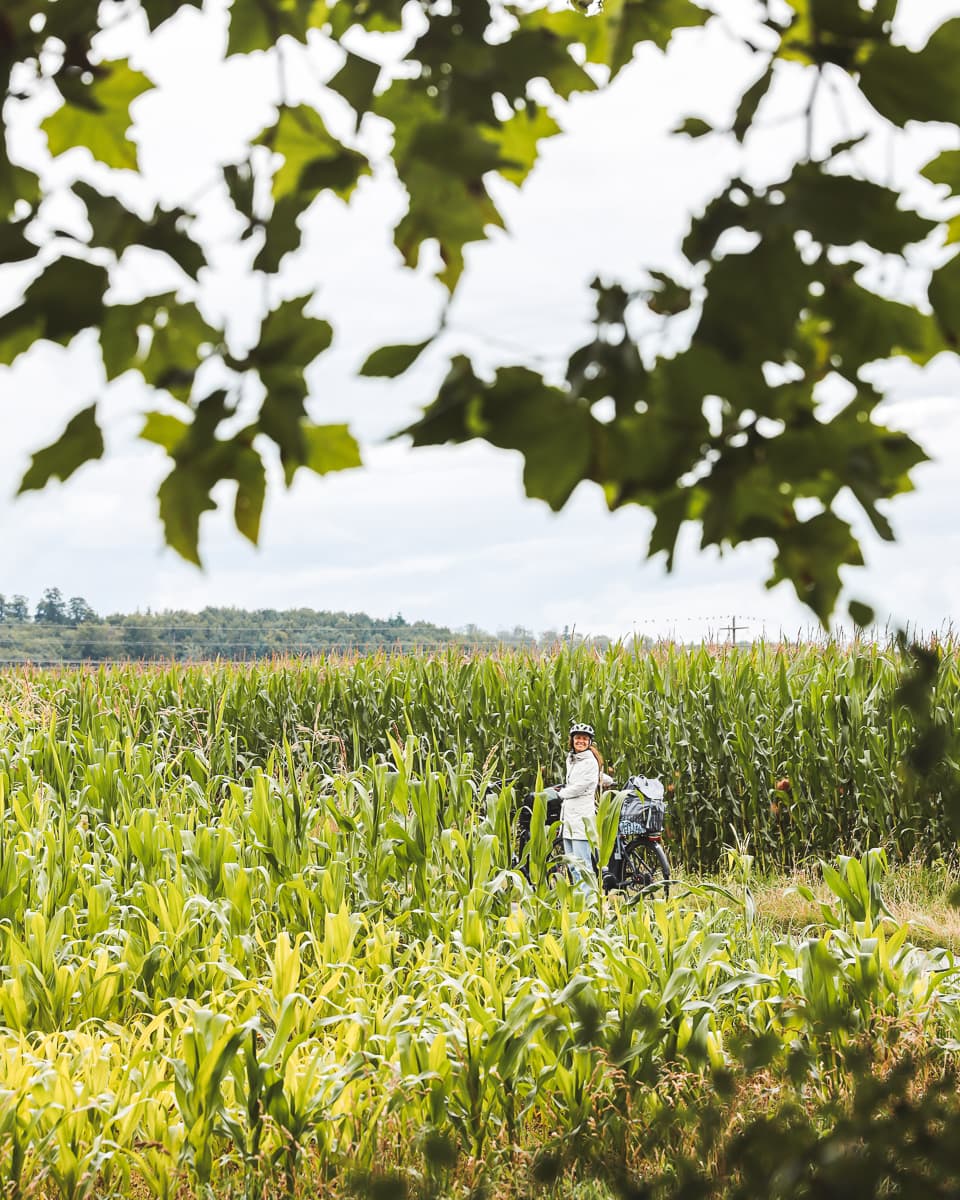Radreise - Baden-Württemberg - Biberach nach Bad Waldsee