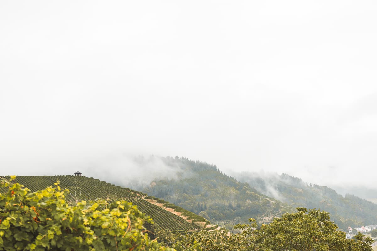 Baden-Württemberg: Gengenbach im Schwarzwald