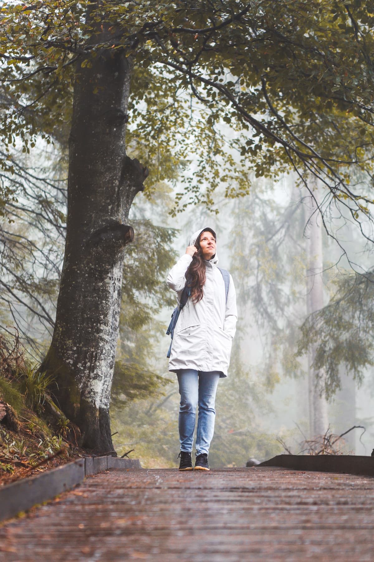 Baden-Württemberg: Schwarzwald - Mummelsee - Spaziergang