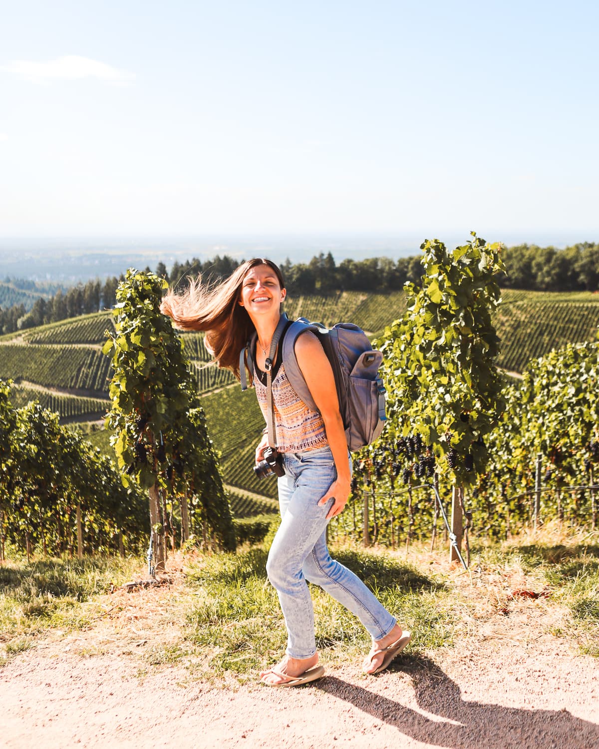Baden-Württemberg: Weinberge bei Durbach