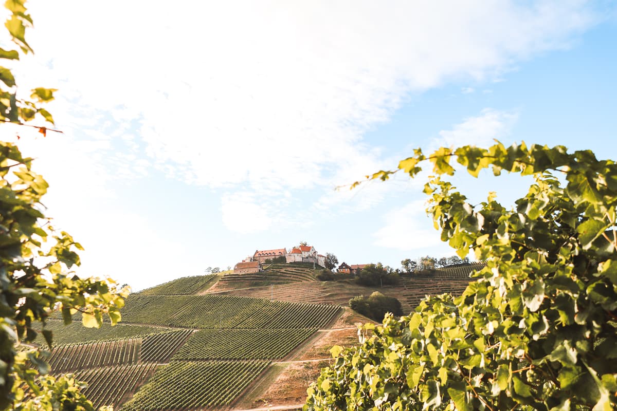 Baden-Württemberg: Schloss Staufenberg bei Durbach