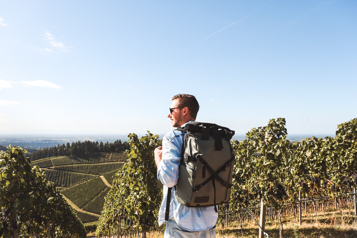 Baden-Württemberg: Weinberge bei Durbach