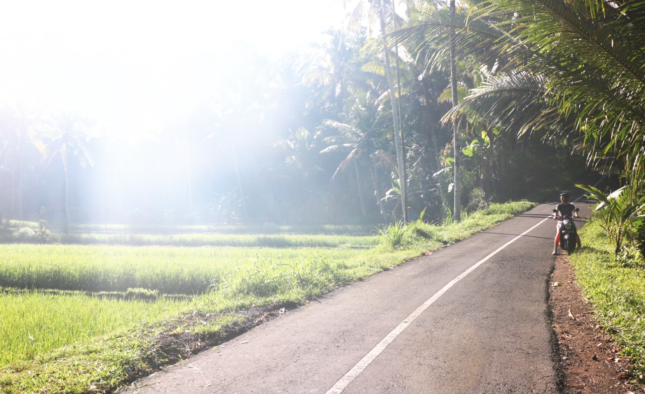 Mopedtour durch Ubud auf Bali