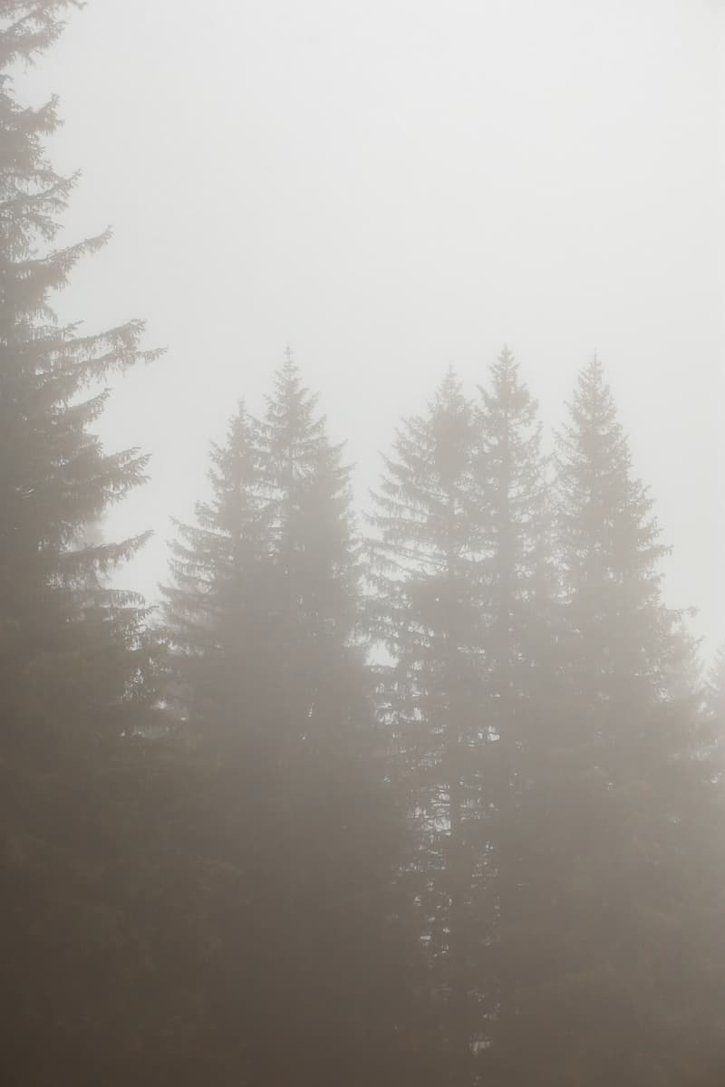 Bayern - Ausflugsziel & Sehenswürdigkeiten - Hochgrat Bahn Bayern - Ausflugsziel & Sehenswürdigkeiten - Wandern am Hochgrat