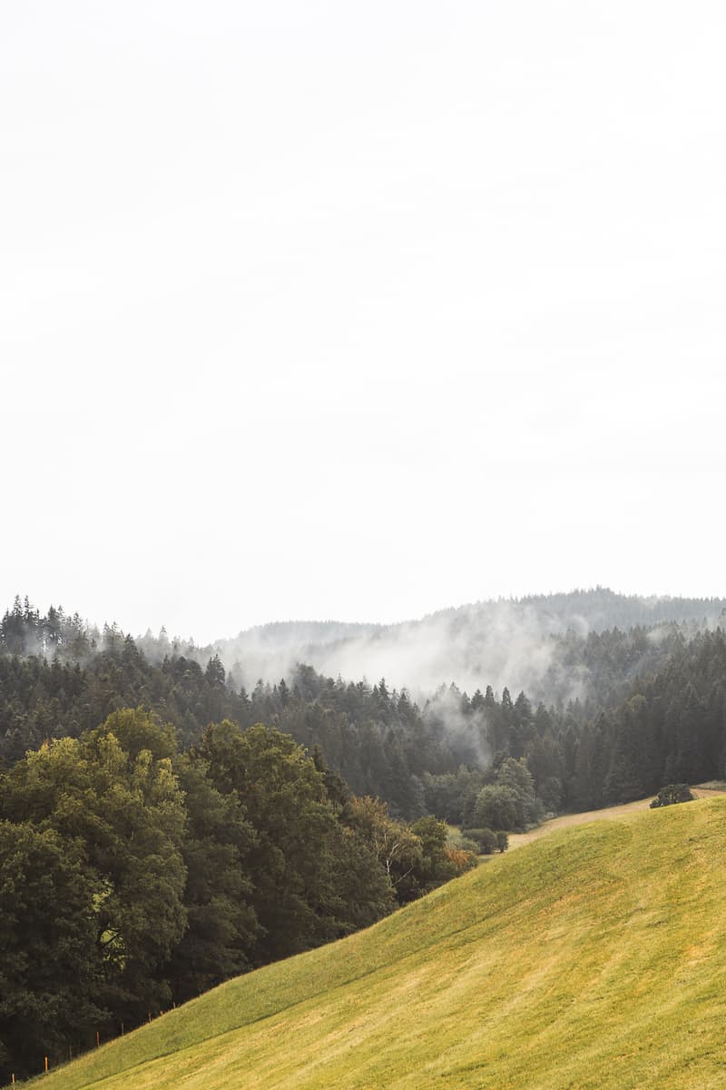 Bayern - Ausflugsziel & Sehenswürdigkeiten - Scheidegg Höhenweg Bayern - Ausflugsziel & Sehenswürdigkeiten - Scheidegg Höhenweg