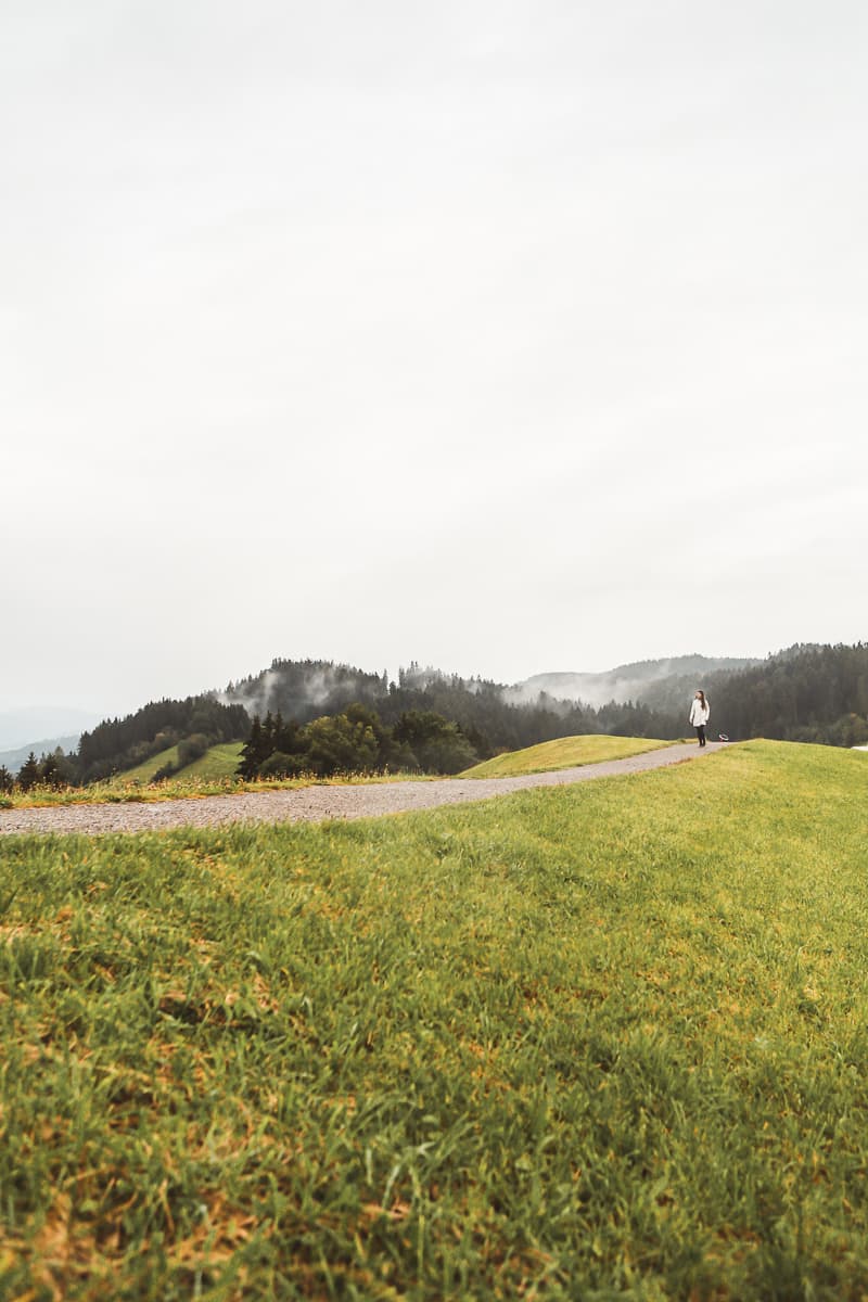 Bayern - Ausflugsziel & Sehenswürdigkeiten - Scheidegg Höhenweg Bayern - Ausflugsziel & Sehenswürdigkeiten - Scheidegg Höhenweg