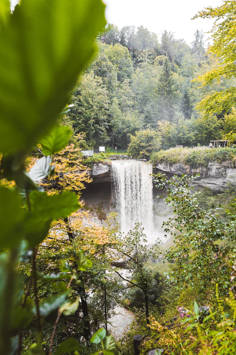 Bayern - Ausflugsziel & Sehenswürdigkeiten - Scheidegg Wasserfälle Bayern - Ausflugsziel & Sehenswürdigkeiten - Scheidegg Wasserfälle