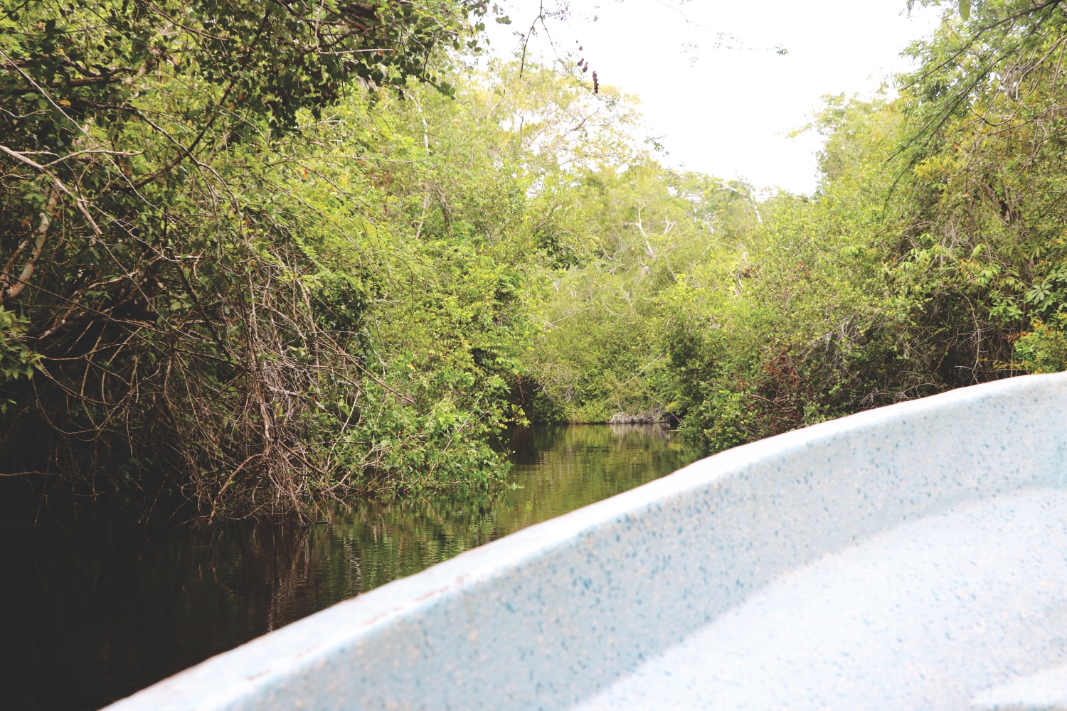 Reisebericht: New River in Belize zur Lamanai Stätte