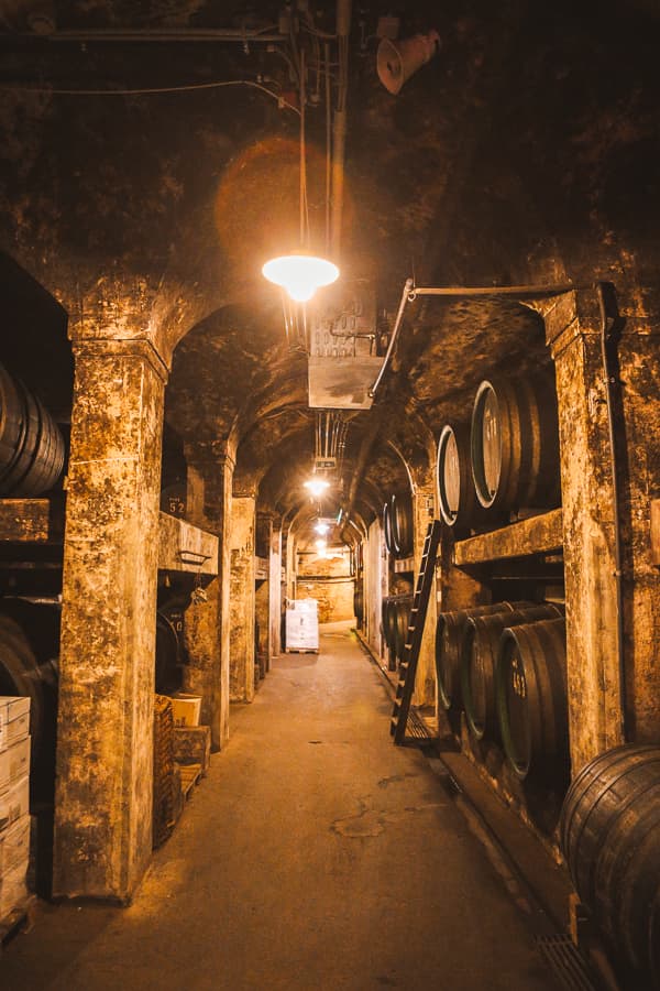 Bremen - Sehenswürdigkeiten - Ratskeller Bremen - Sehenswürdigkeiten - Ratskeller