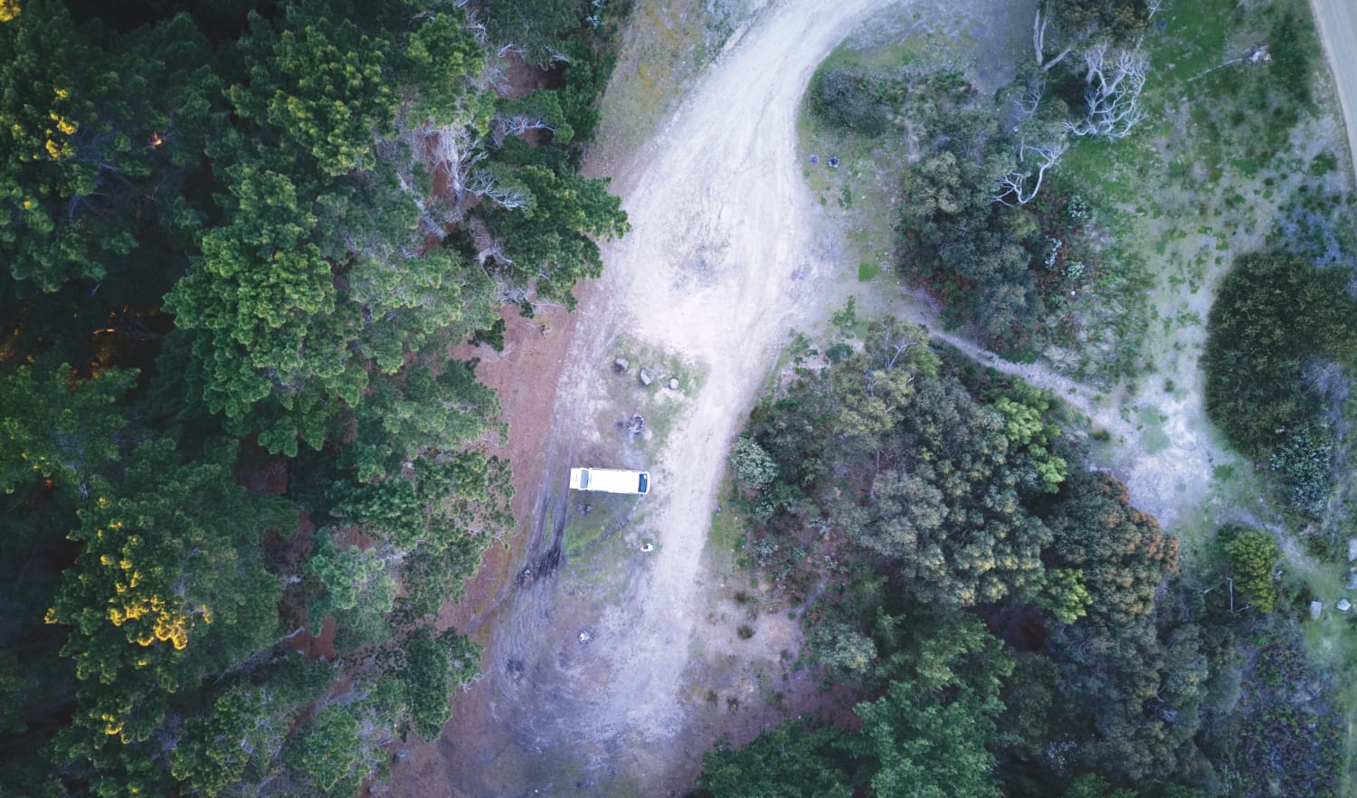 Tasmanien Campsite: Bruny Island Pine Tree
