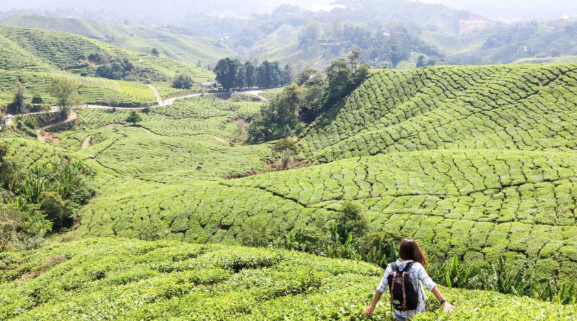 Ania in den Cameron Highlands Malaysia