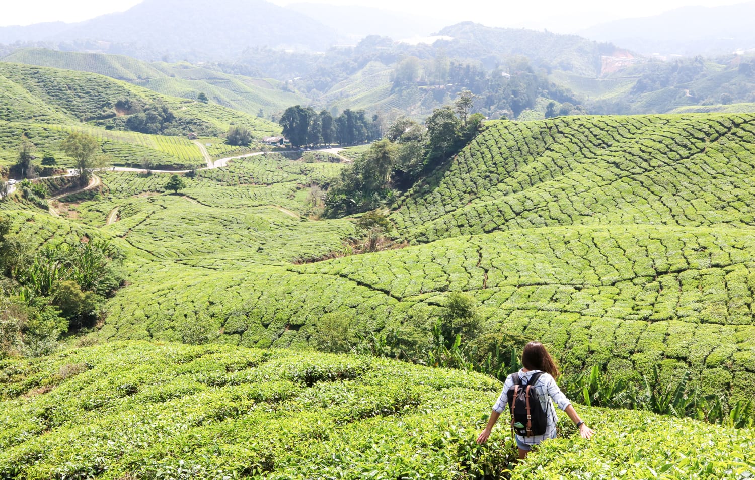 Ania in den Cameron Highlands Malaysia