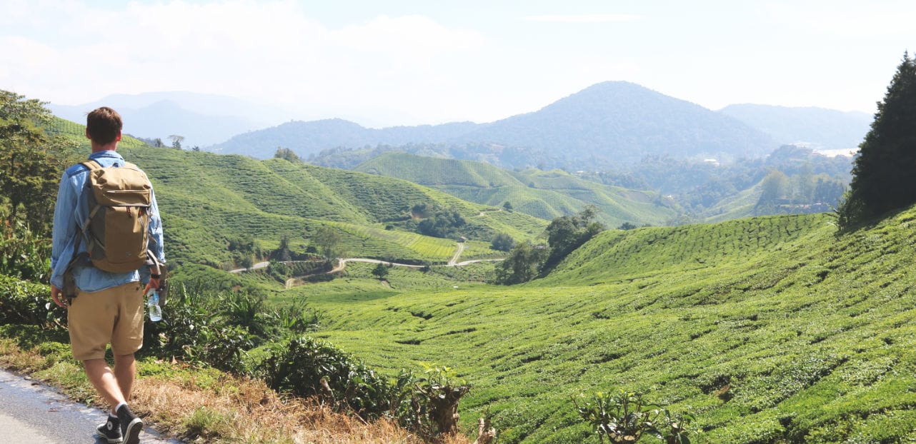 BOH Teeplantage Cameron Highlands