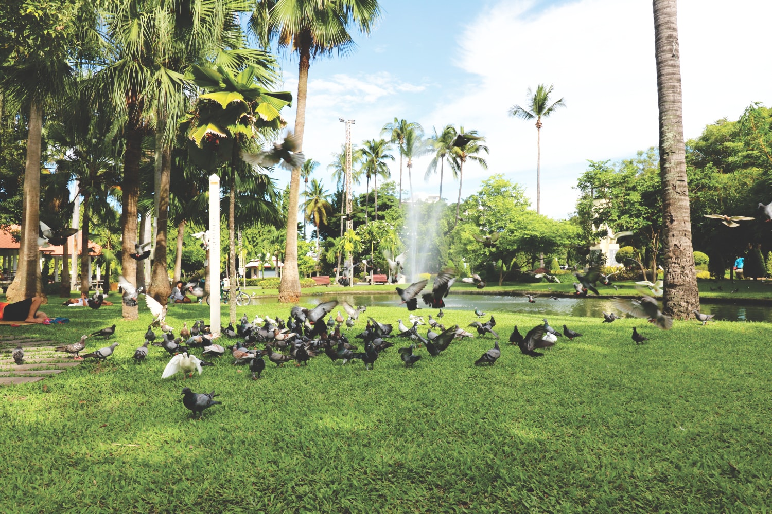 Park in Chiang Mai Park in Chiang Mai