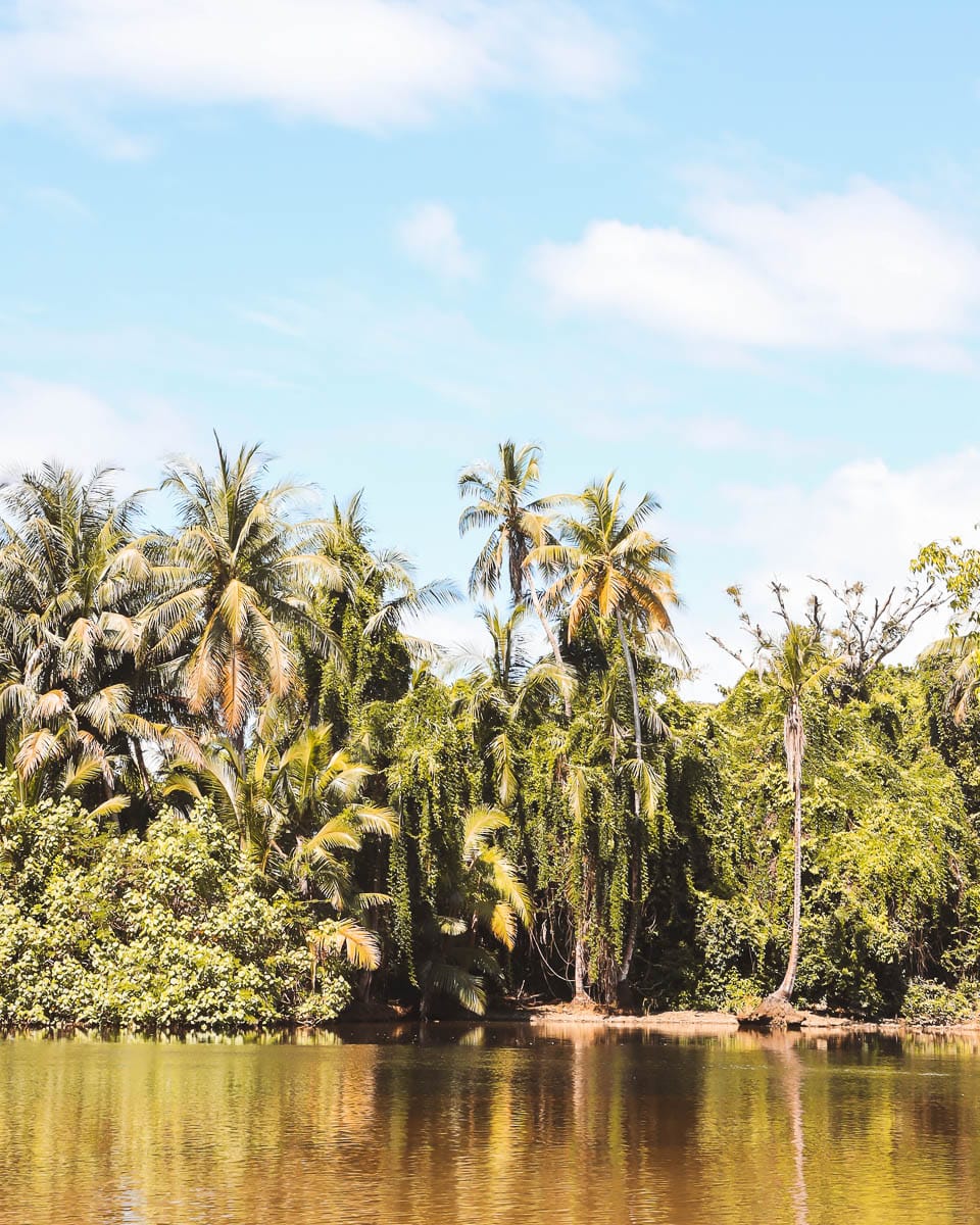 Costa Rica - Sehenswürdigkeiten & Highlights - Corcovado Nationalpark Landschaft