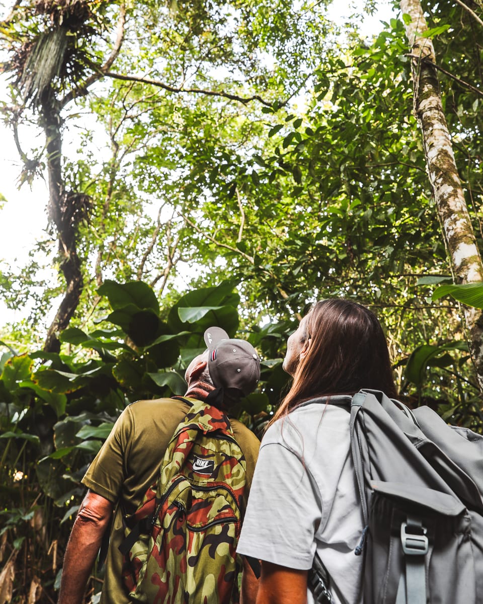 Costa Rica - Sehenswürdigkeiten & Insidertipps - Tortuguero Tour