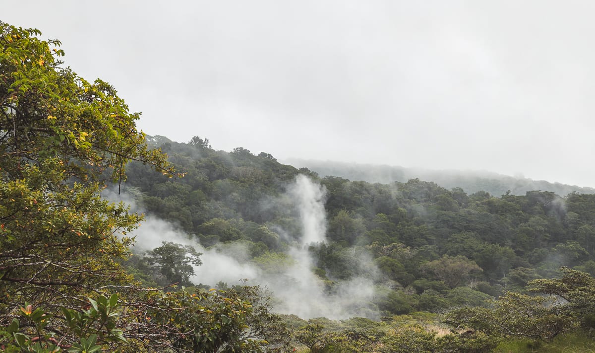 Costa Rica - Nationalpark - Nebel