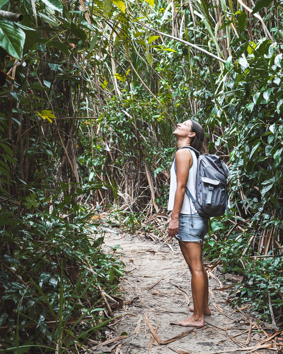 Costa Rica - Sehenswürdigkeiten & Highlights - Cahuita Nationalpark