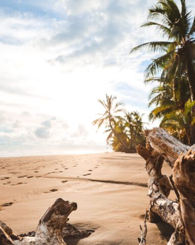 Costa Rica - Sehenswürdigkeiten & Highlights - Uvita Strand