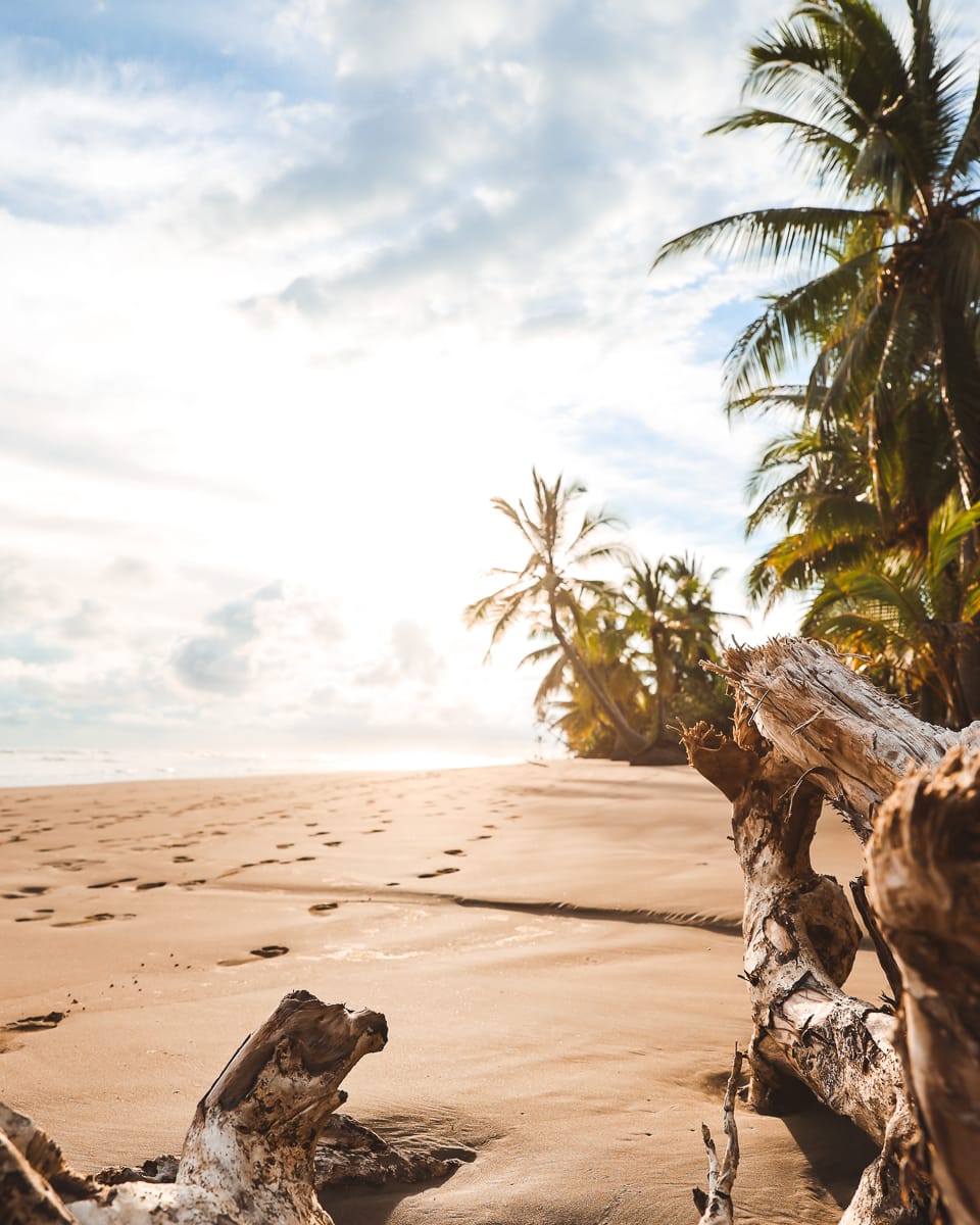 Costa Rica - Sehenswürdigkeiten & Highlights - Marino Bellana Nationalpark