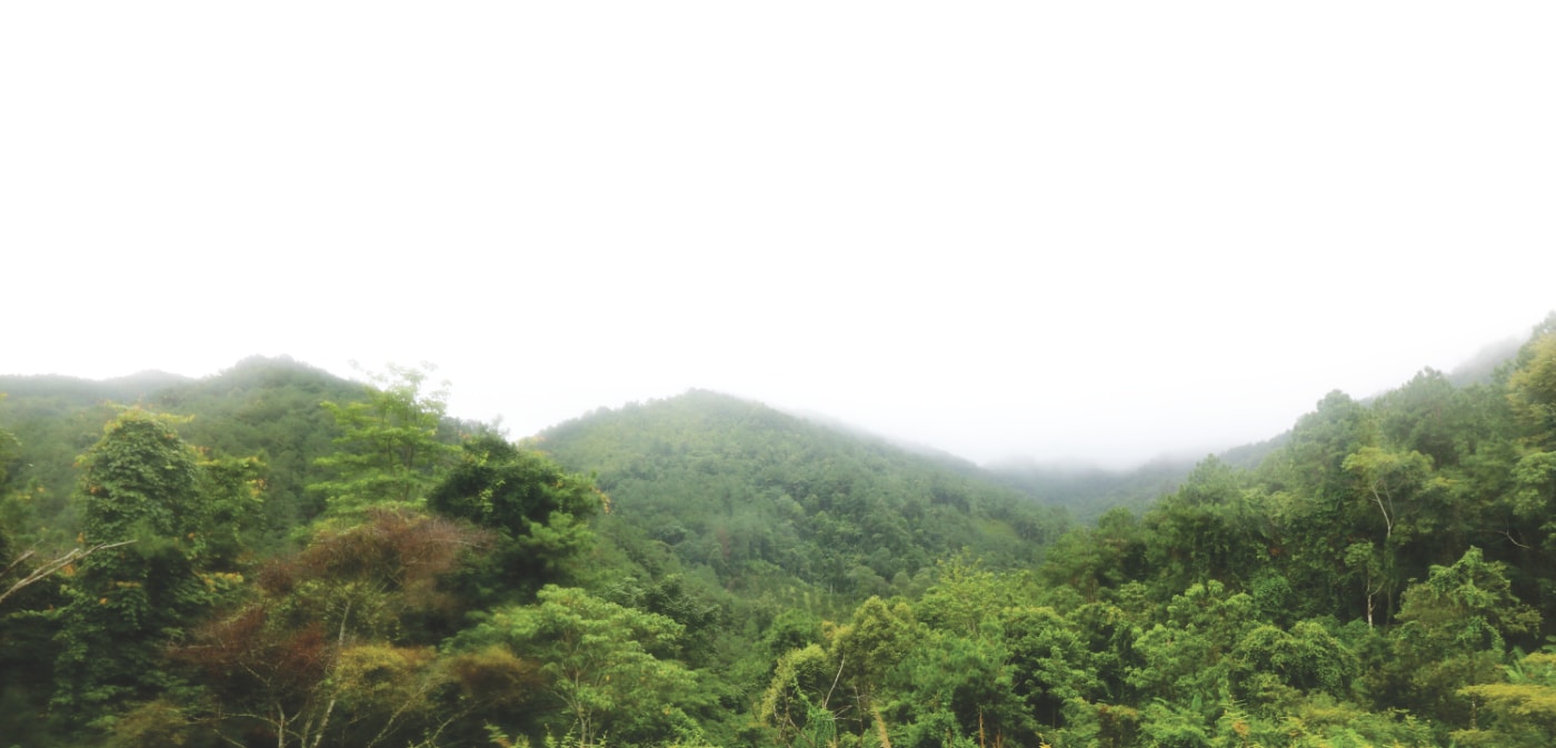 Doi Inthanon Aussicht Doi Inthanon Aussicht
