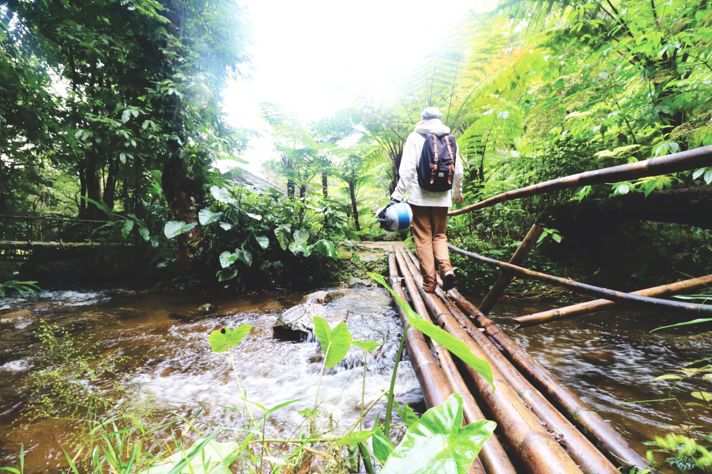 Im Doi Inthanon Nationalpark Im Doi Inthanon Nationalpark