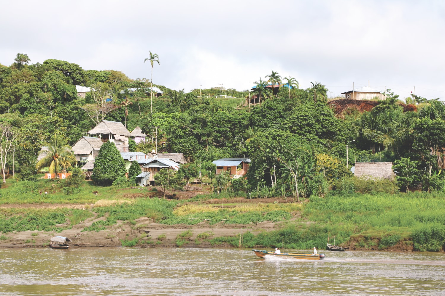 Bambushütten im Amazonasgebiet Bambushütten im Amazonasgebiet