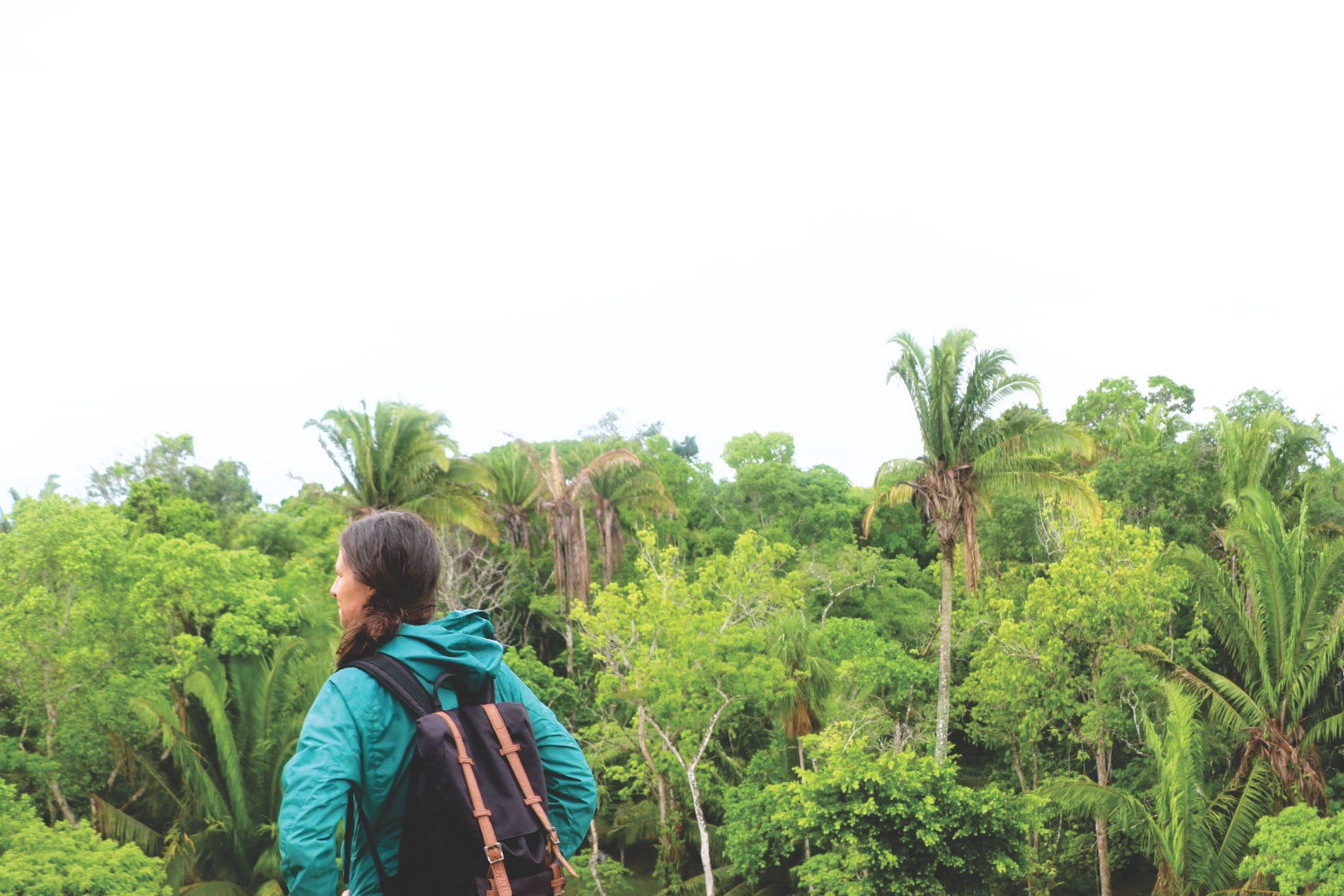 Aussicht auf den Dschungel von Belize
