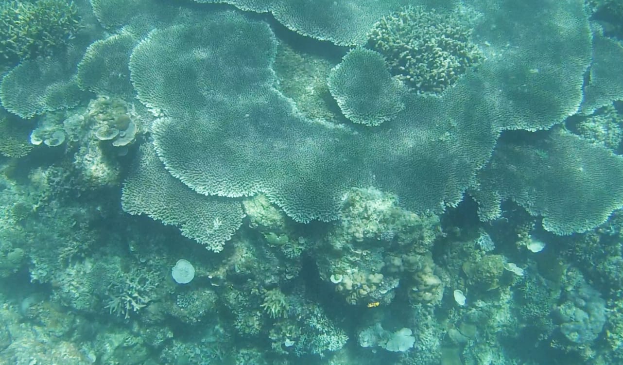 El Nido unter Wasser El Nido unter Wasser