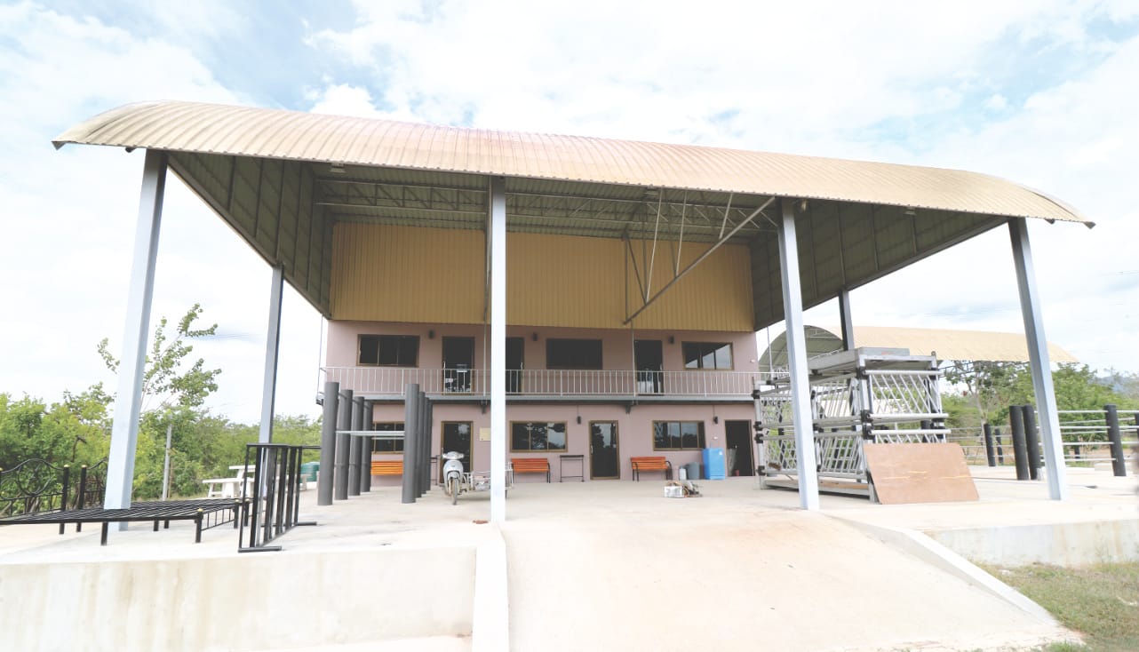 Elefanten-Krankenhaus bei WFFT Elefanten-Krankenhaus bei WFFT