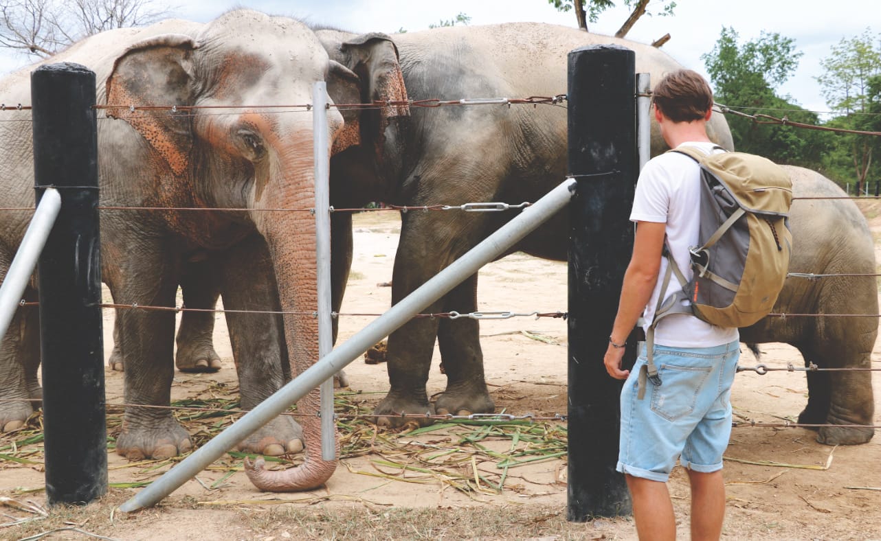 Elefantentour in Thailand Elefantentour in Thailand