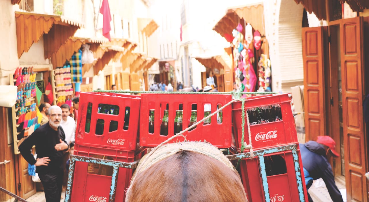 Esel in Medina von Fes