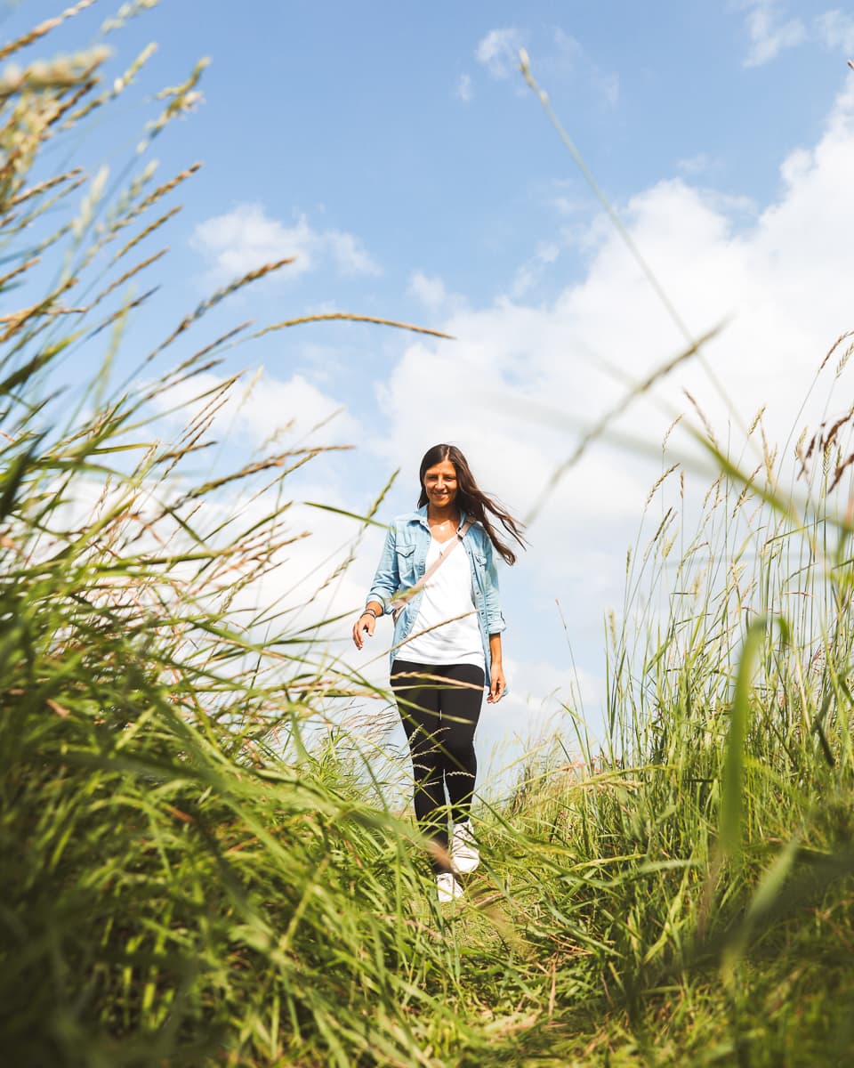 Ferienwohnung in Ostfriesland - Forsthaus Gödens - Ausflug Salzwiesenpfad