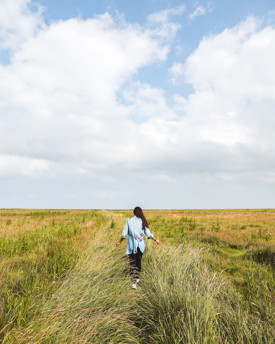 Ferienwohnung in Ostfriesland - Forsthaus Gödens - Ausflug Salzwiesenpfad